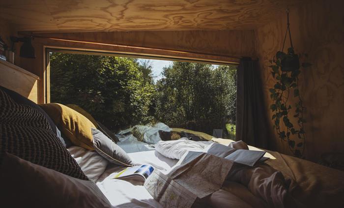 An unmade bed with a map spread out over it. A large window with a view to woodland immediately outdoors.
